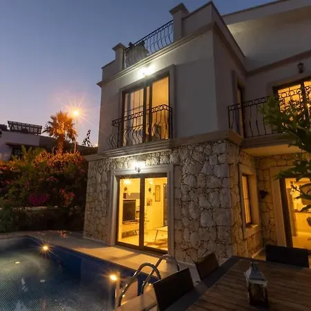 Havuzu, Plaji, Bahcesi Ve Olaganuestue Manzarasiyla… Villa Kas